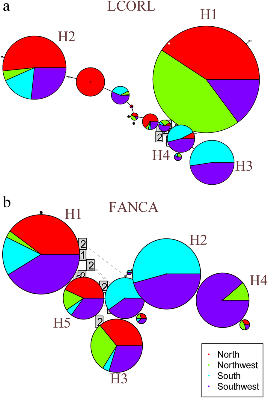 Fig. 4