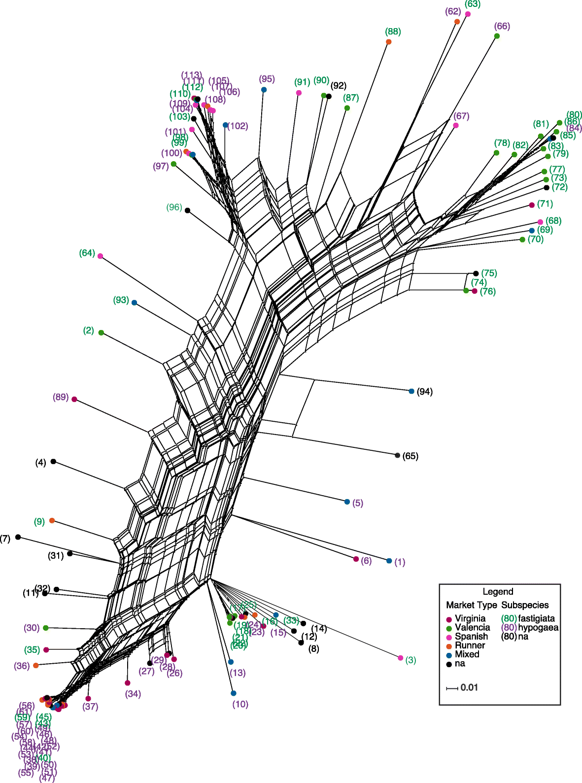 Fig. 3