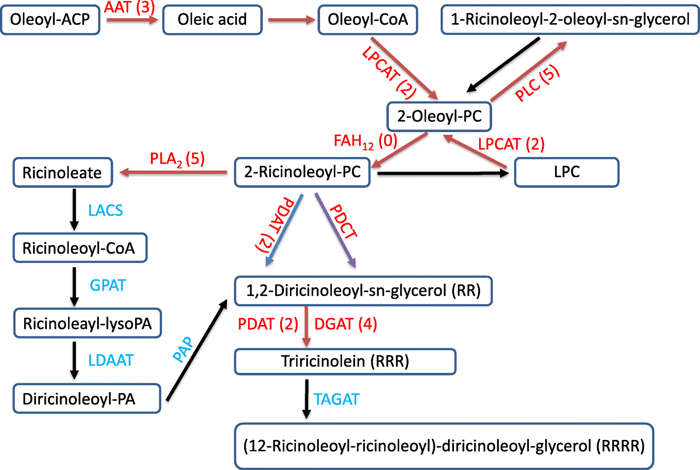 Fig. 7