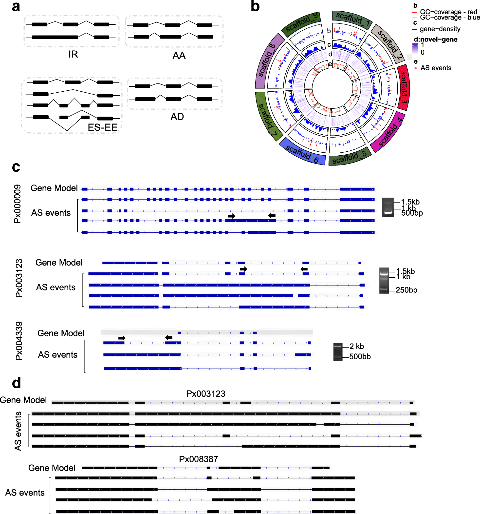 Fig. 3