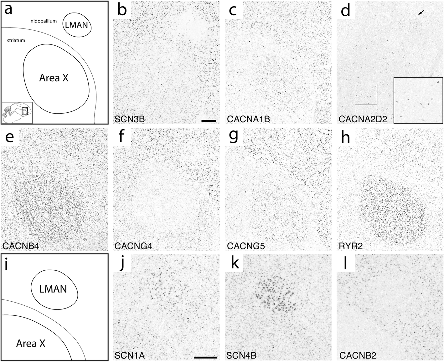 Fig. 9