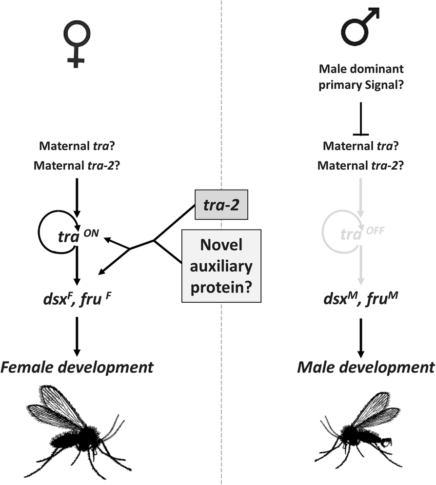 Fig. 11