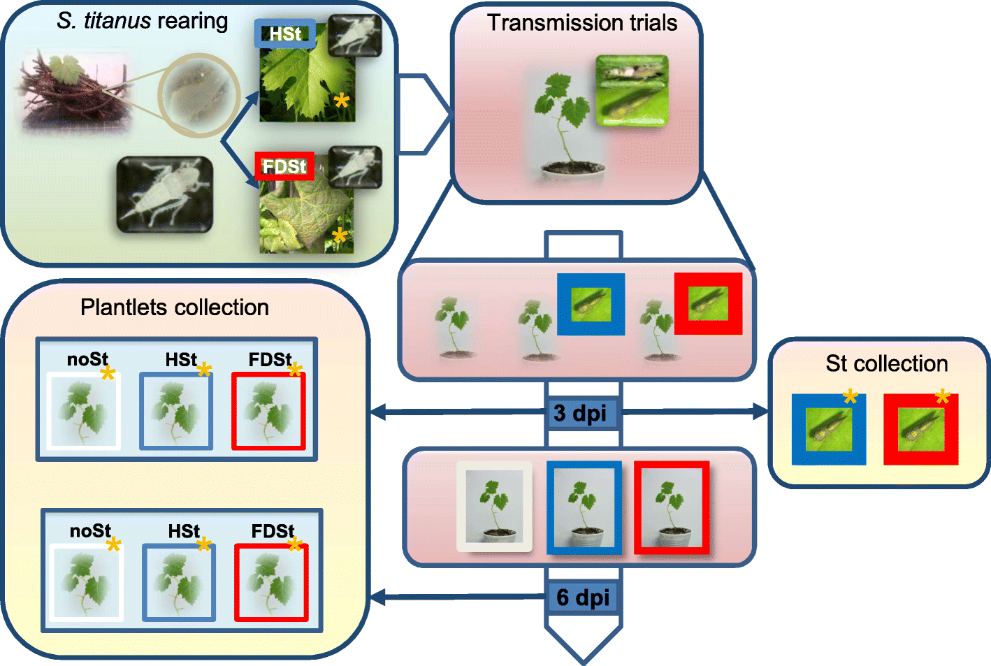 Fig. 10