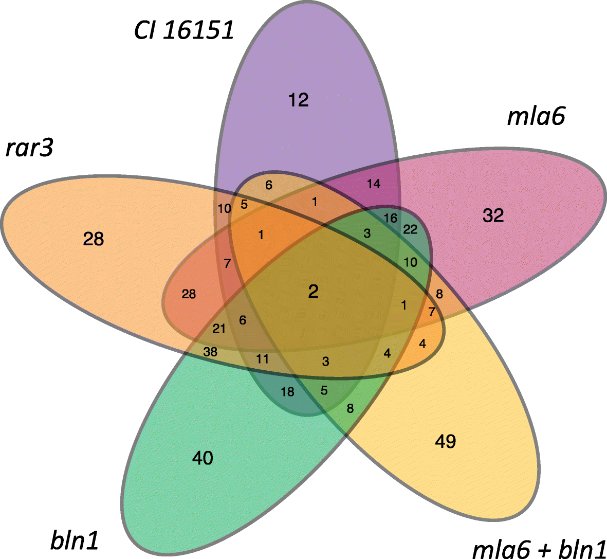 Fig. 5