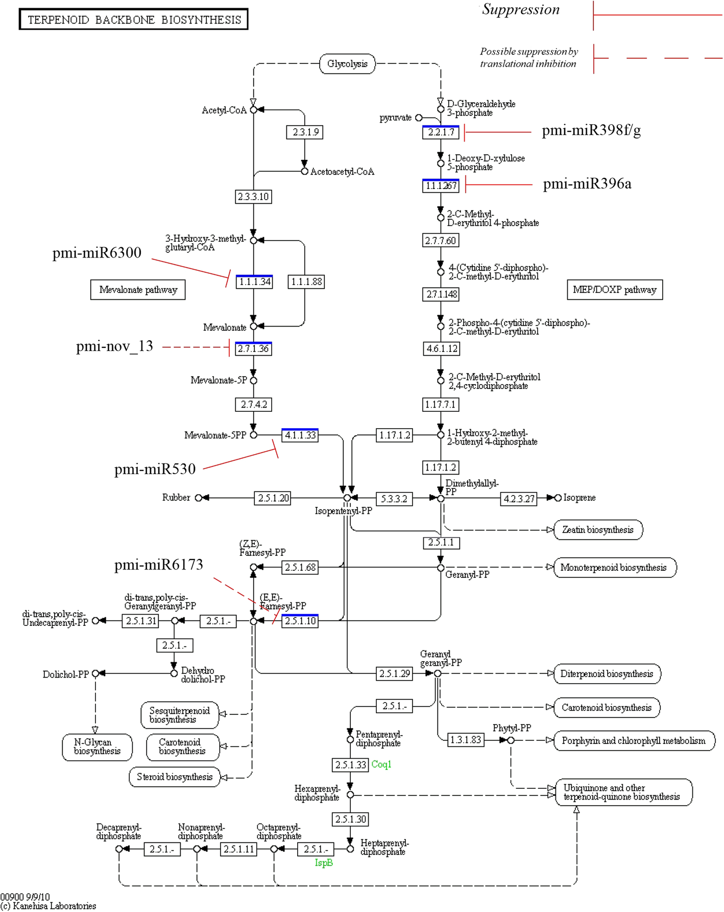 Fig. 11