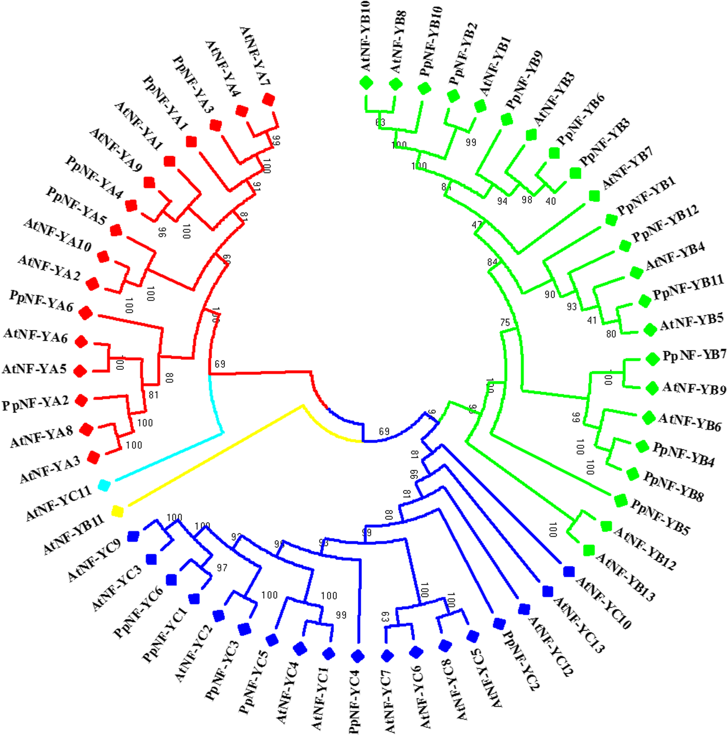 Fig. 7