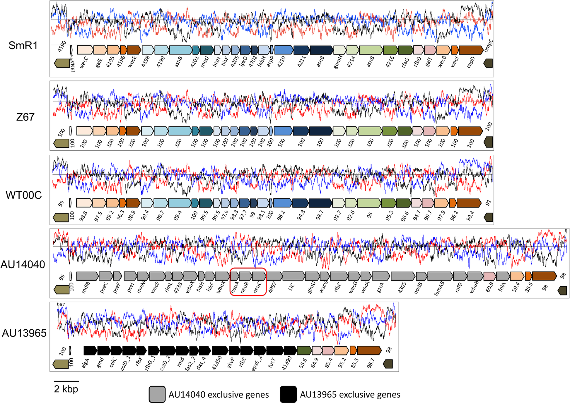 Fig. 7