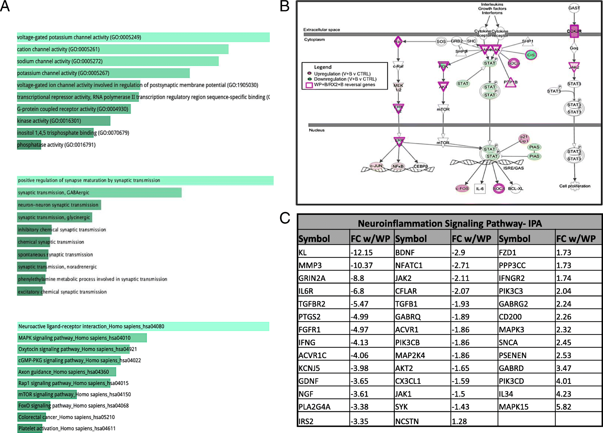 Fig. 4