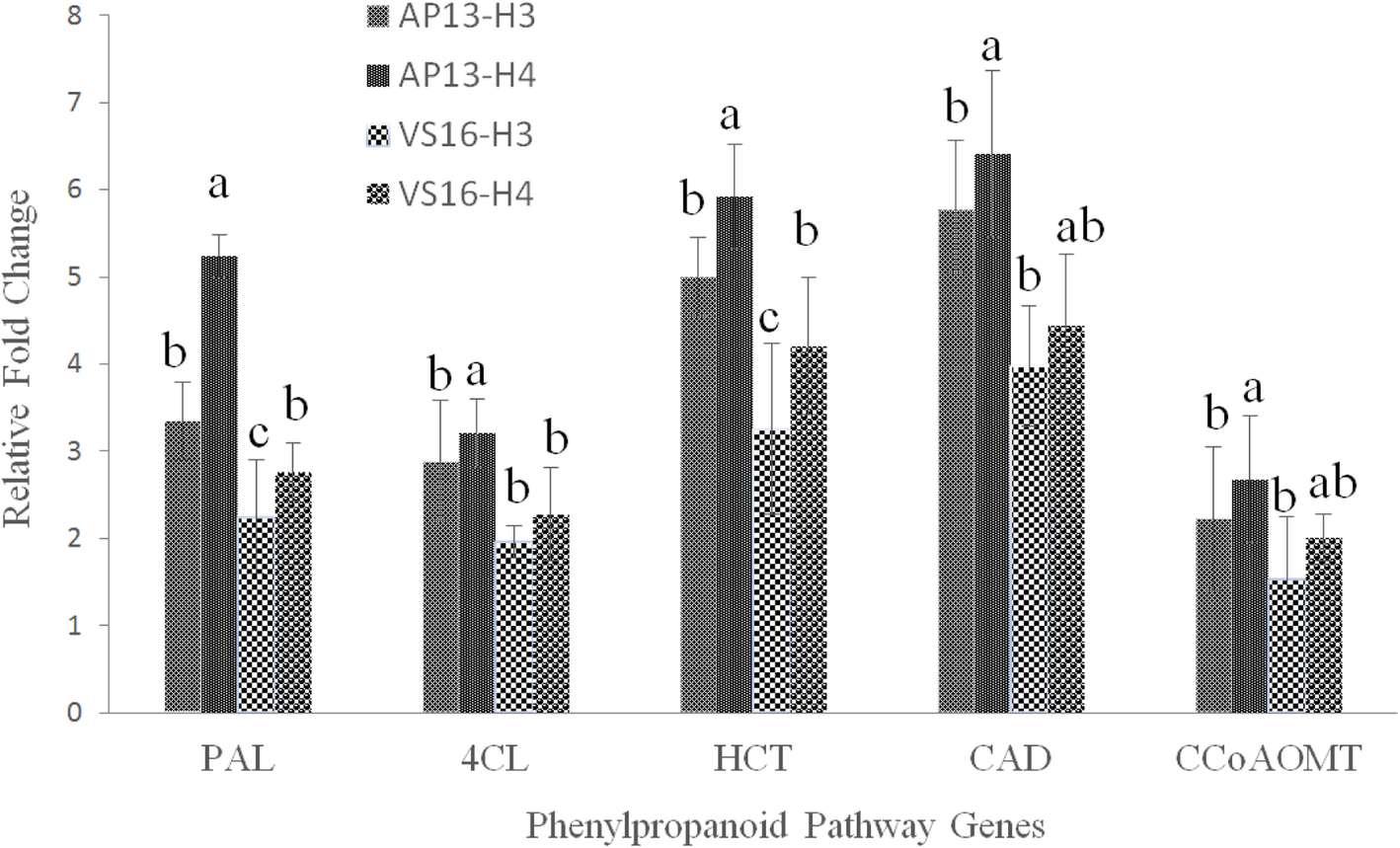 Fig. 4