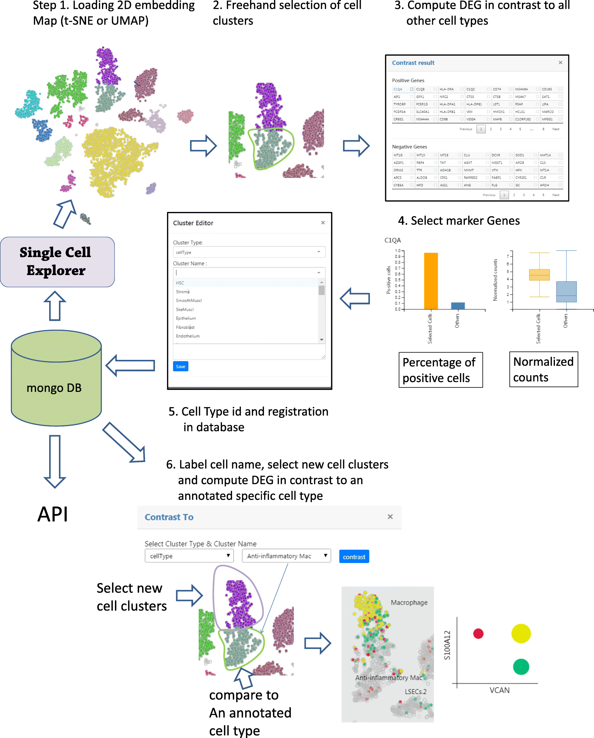 Fig. 4