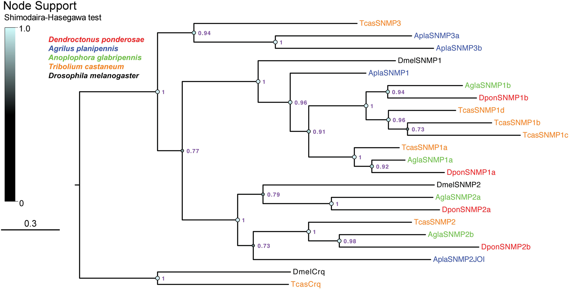 Fig. 4