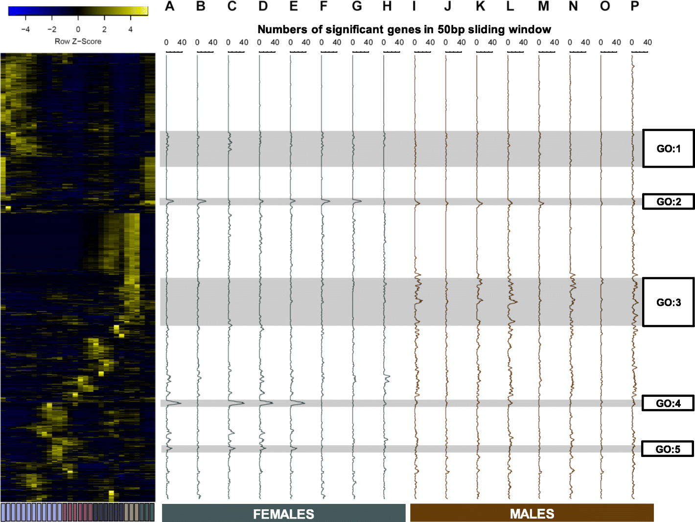 Fig. 7