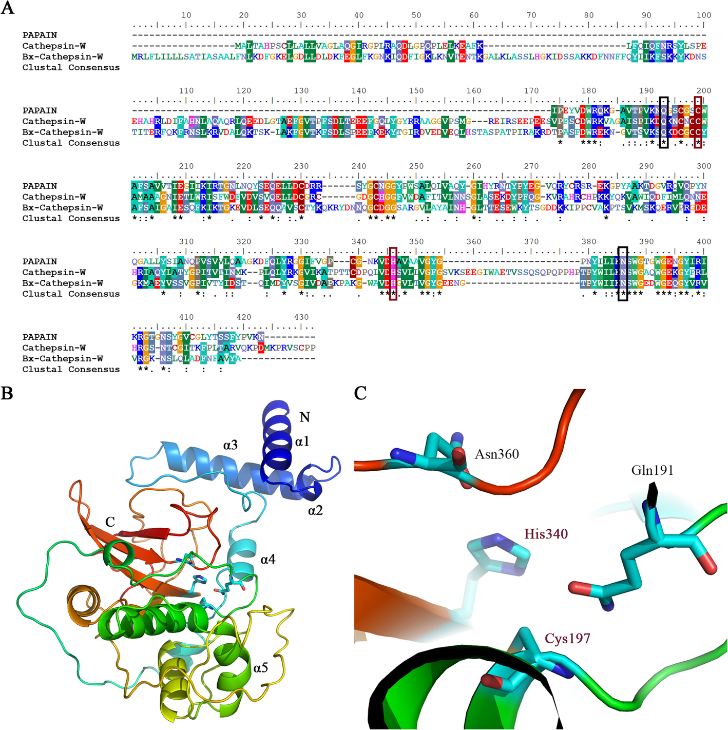 Fig. 2