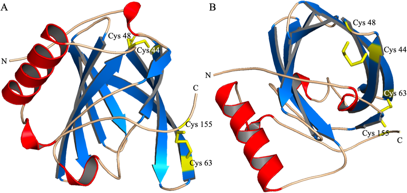 Fig. 4