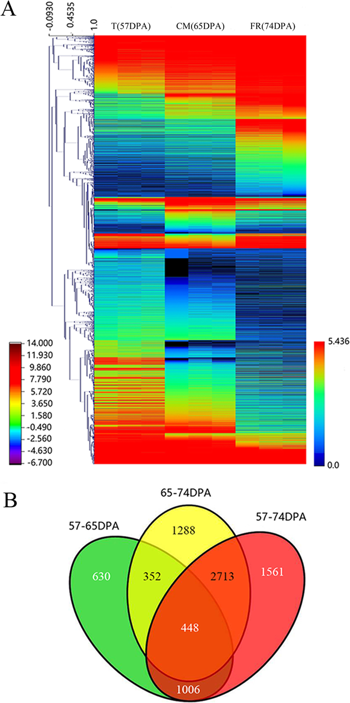 Fig. 3