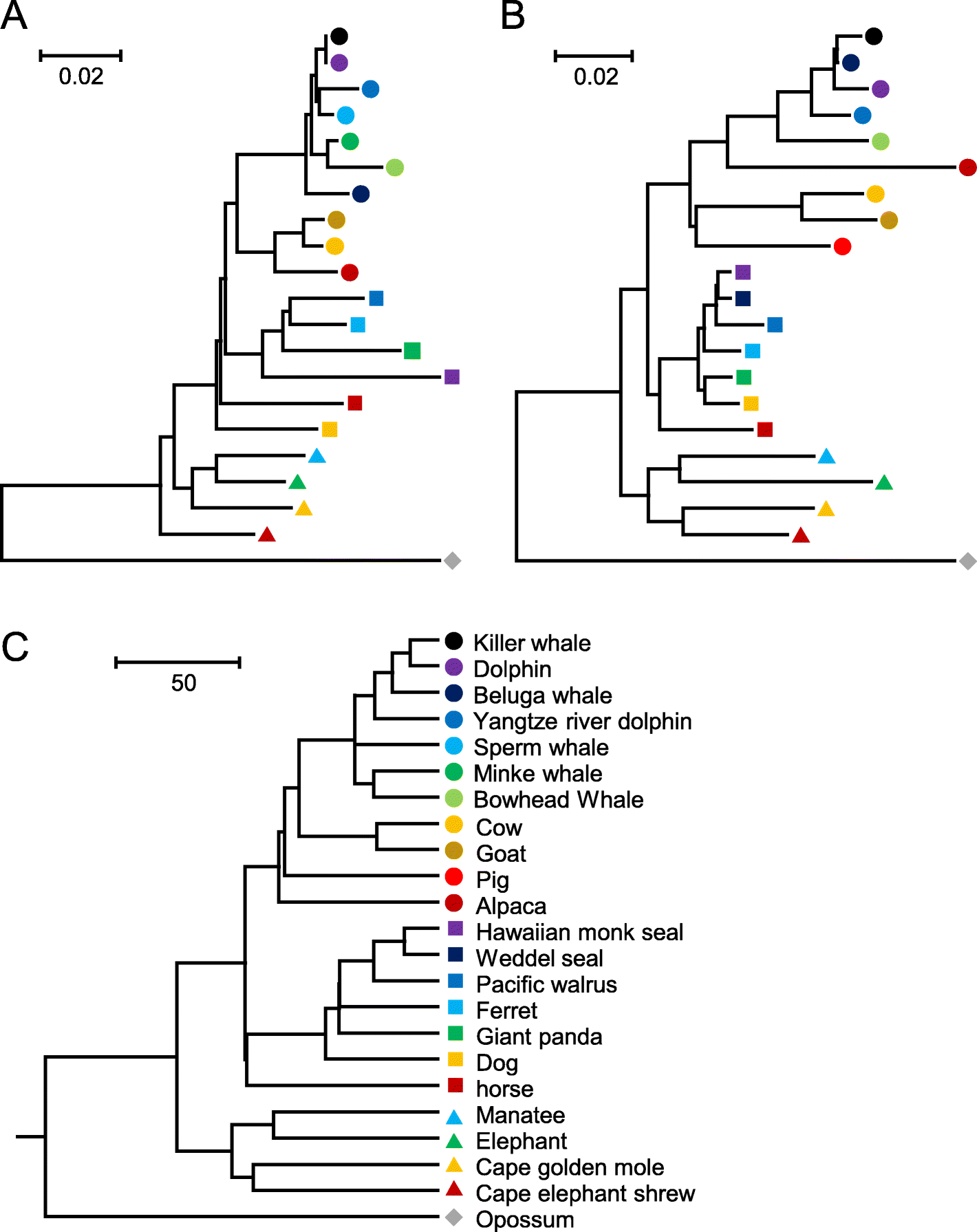 Fig. 5