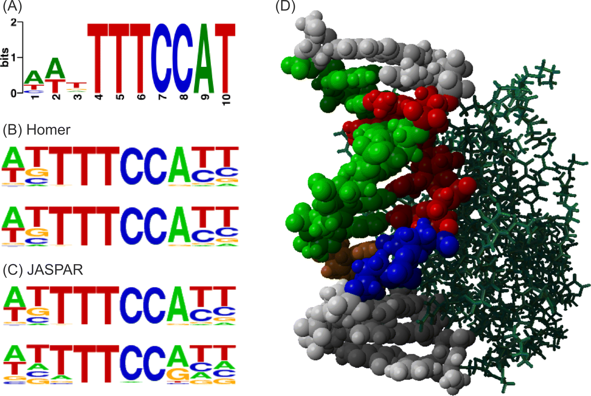 Fig. 6