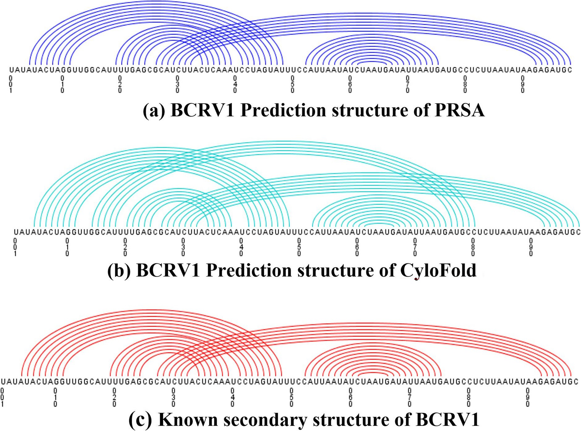 Fig. 12