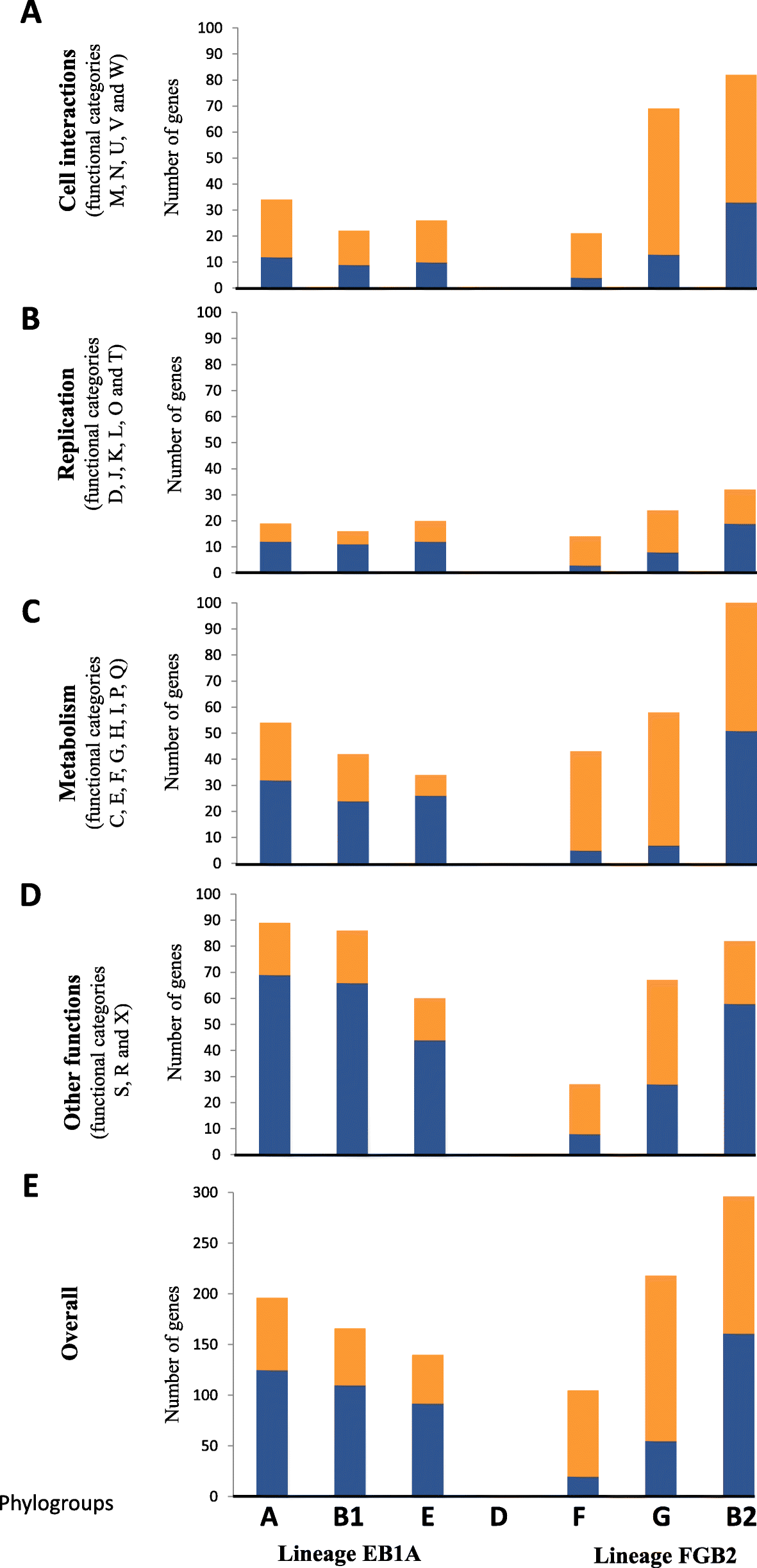 Stratified Reconstruction Of Ancestral Escherichia Coli Diversification Bmc Genomics Full Text