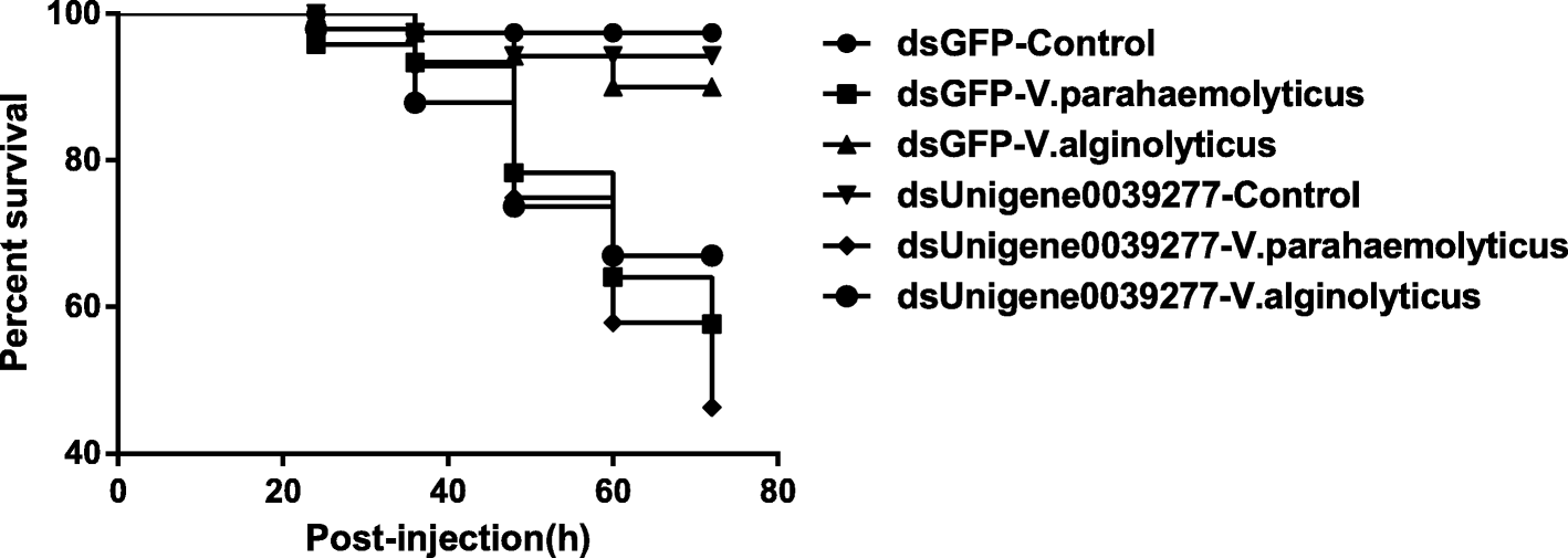 Fig. 9