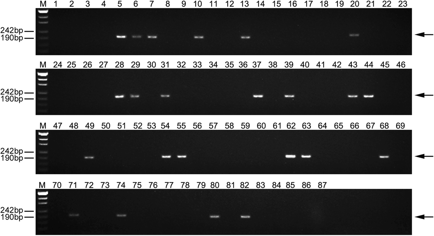 Fig. 9