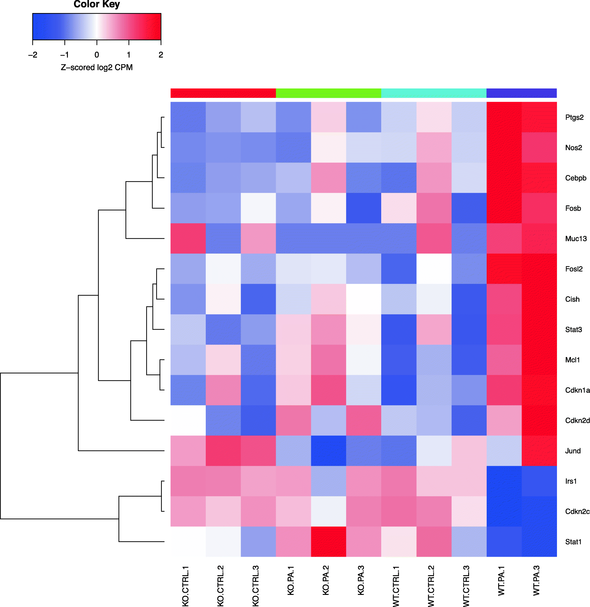 Fig. 10