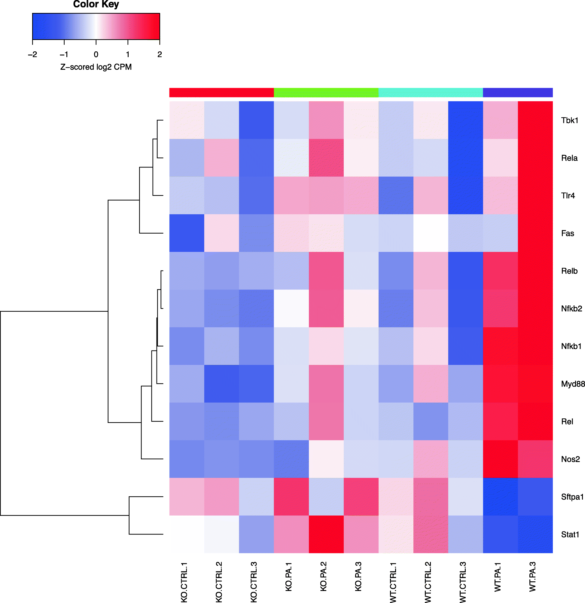 Fig. 9