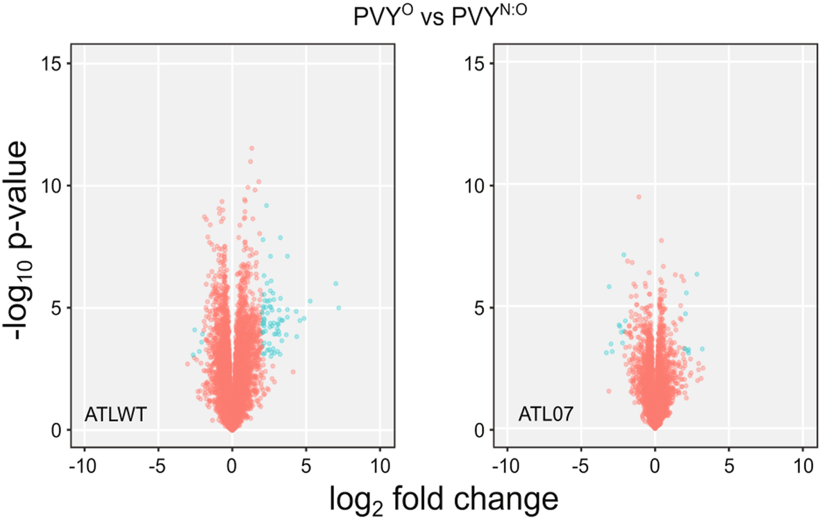 Fig. 9