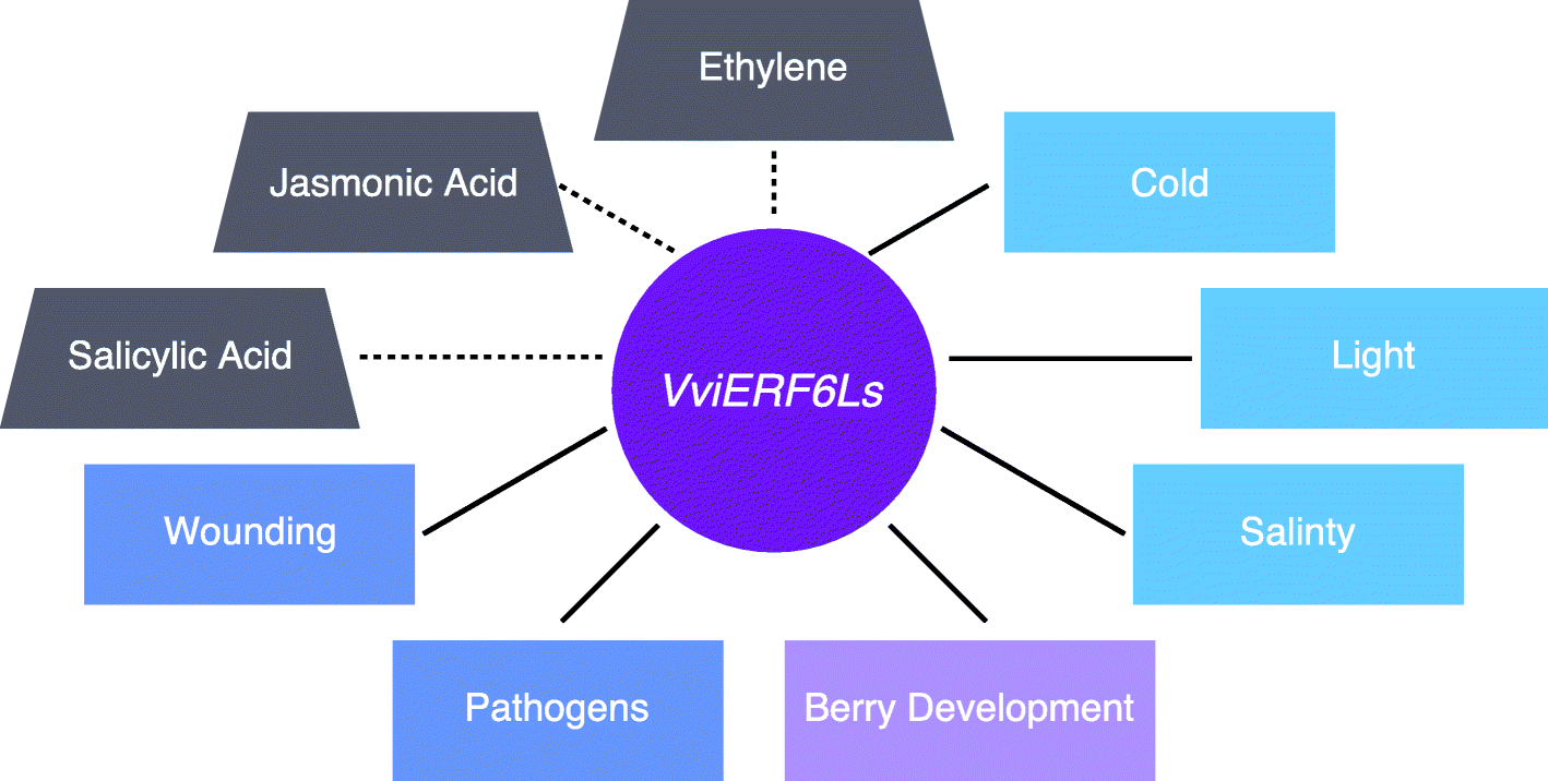 Fig. 12