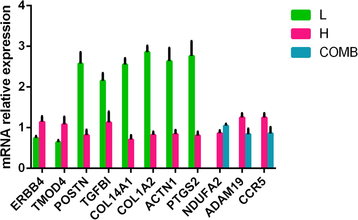 Fig. 10