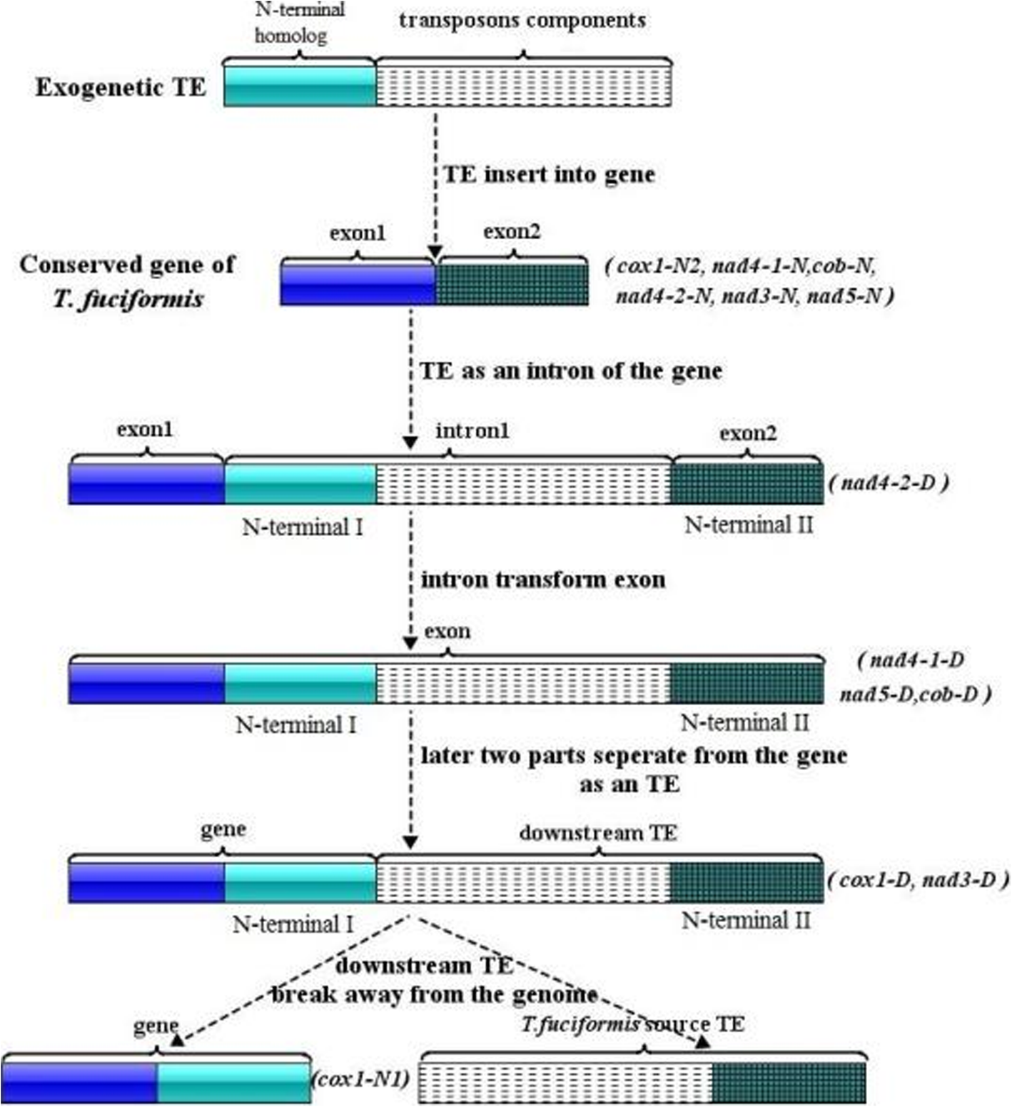 Fig. 4