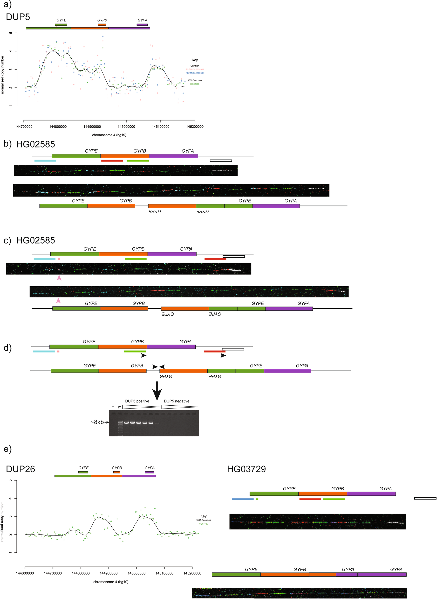 Fig. 4