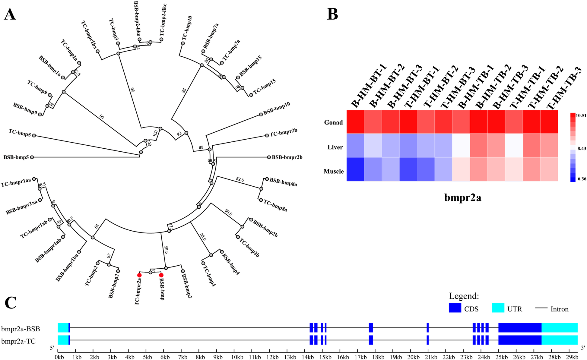 Fig. 3