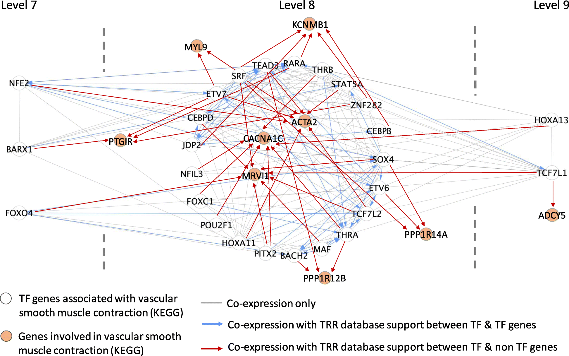 Fig. 7