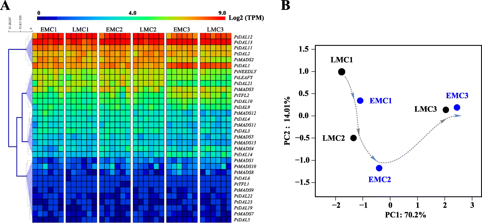 Fig. 3