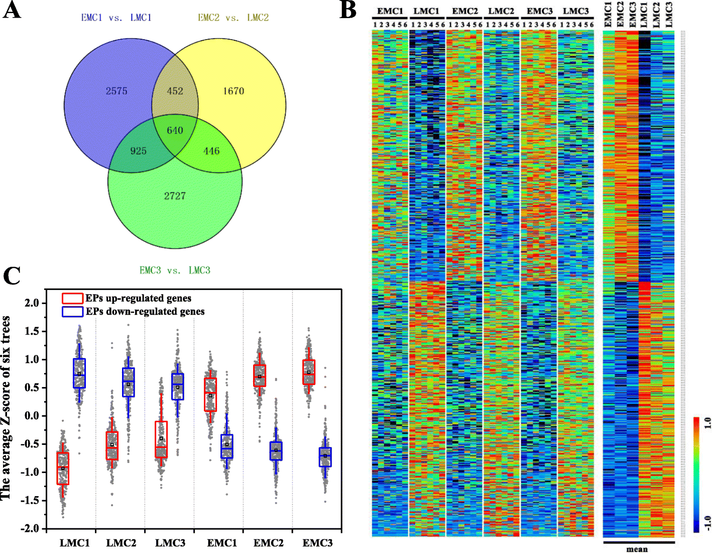 Fig. 4