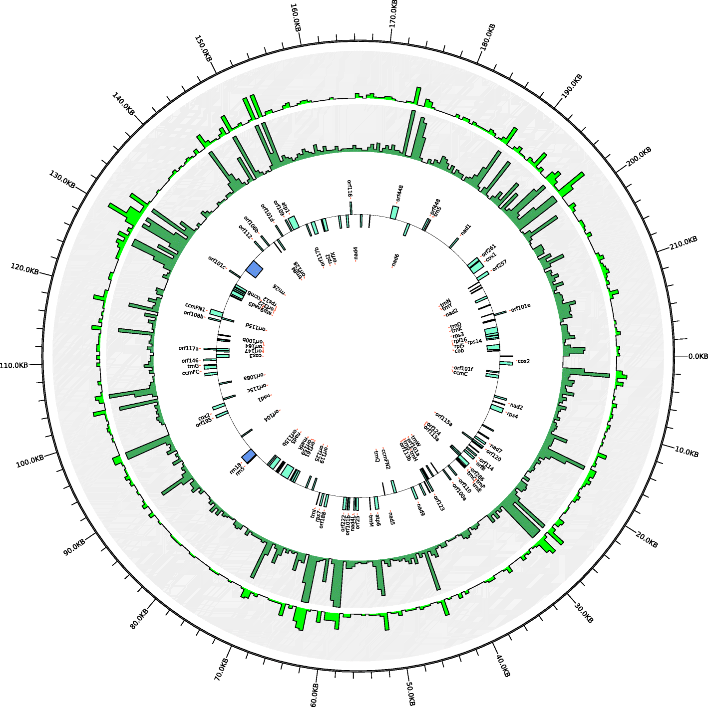 Fig. 2