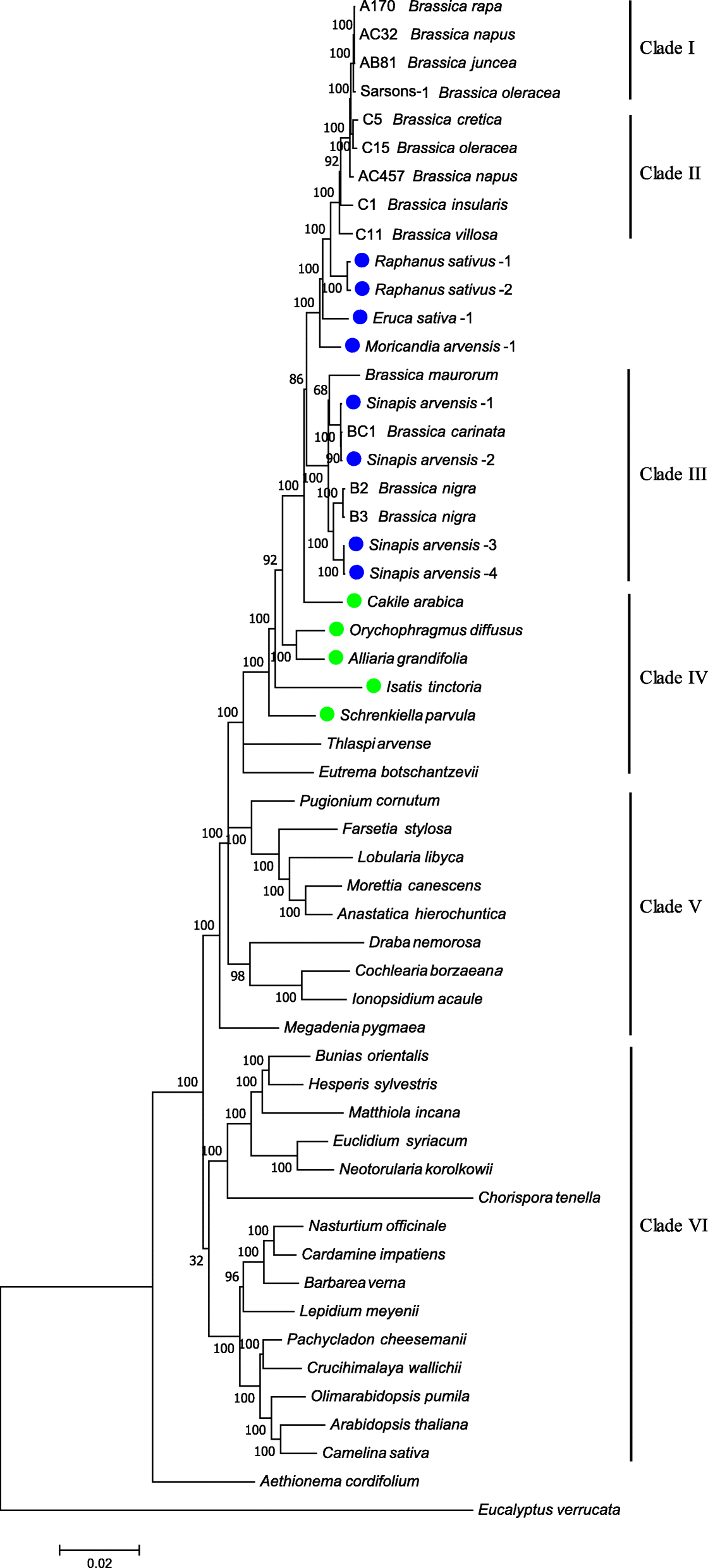 Fig. 4