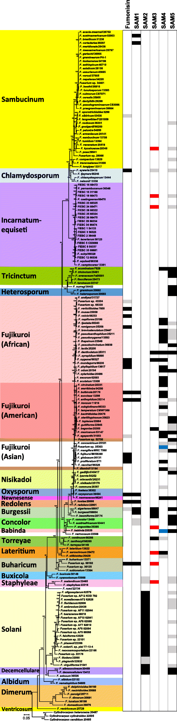 Fig. 5