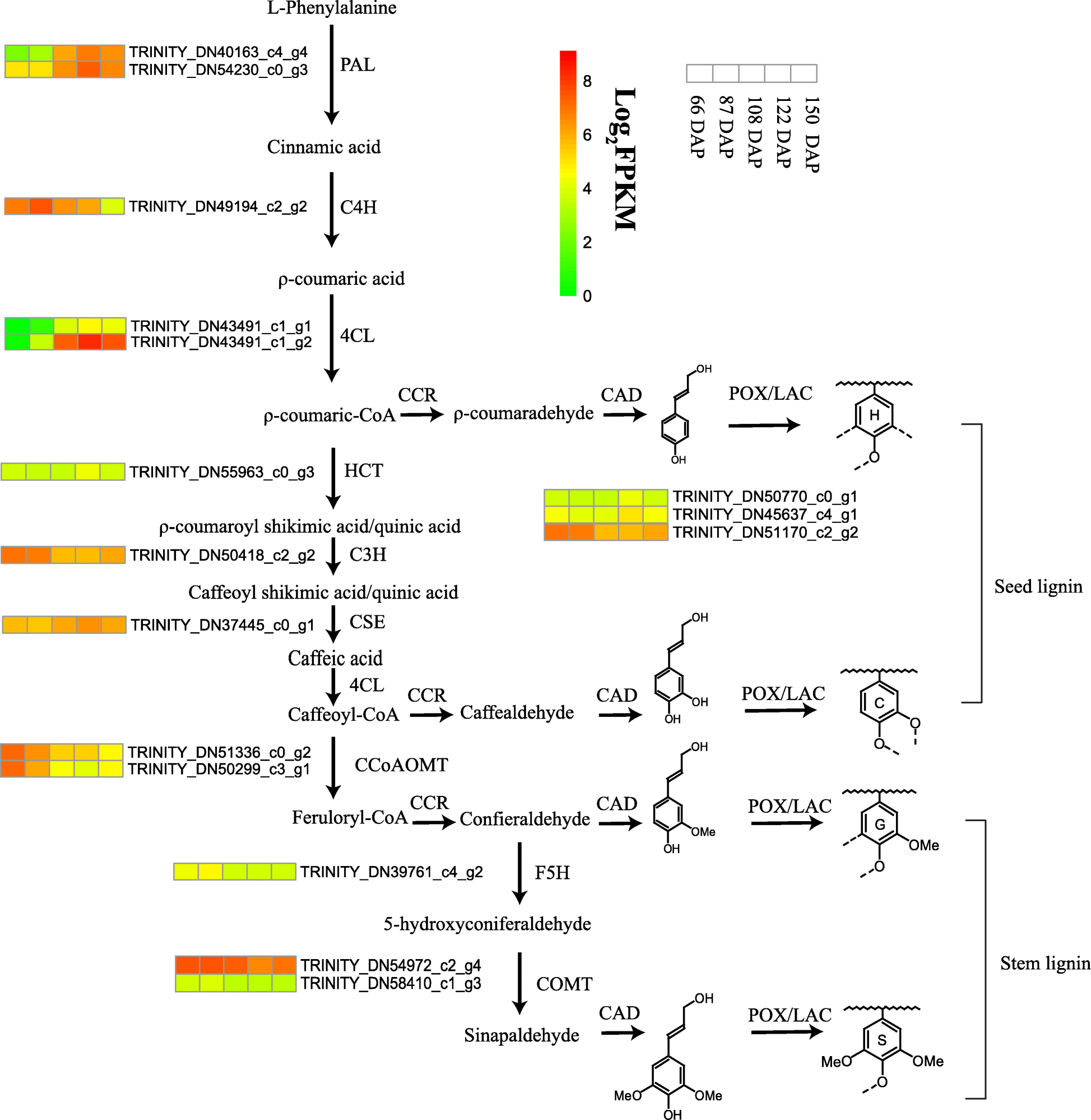 Fig. 5