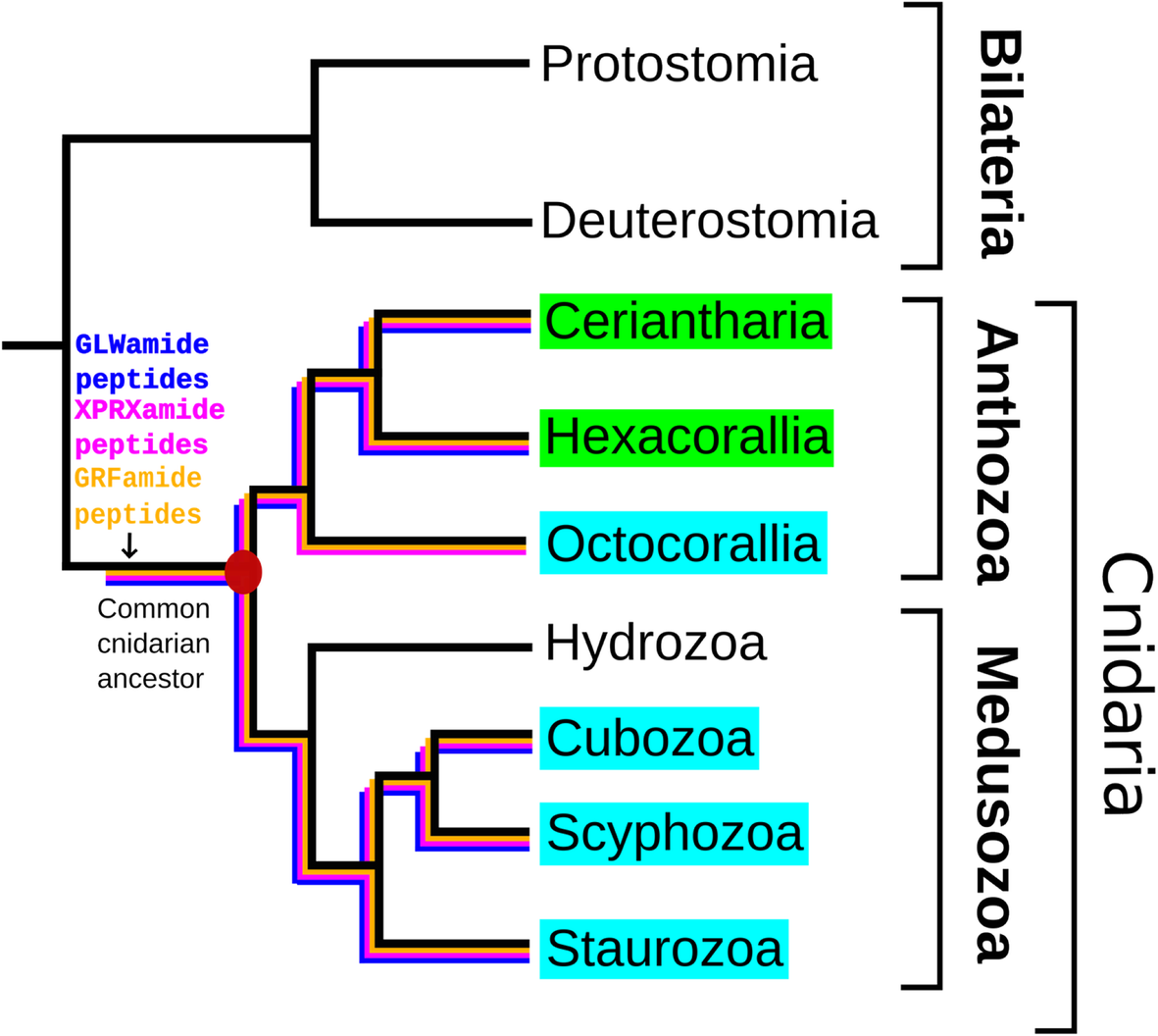 Fig. 3