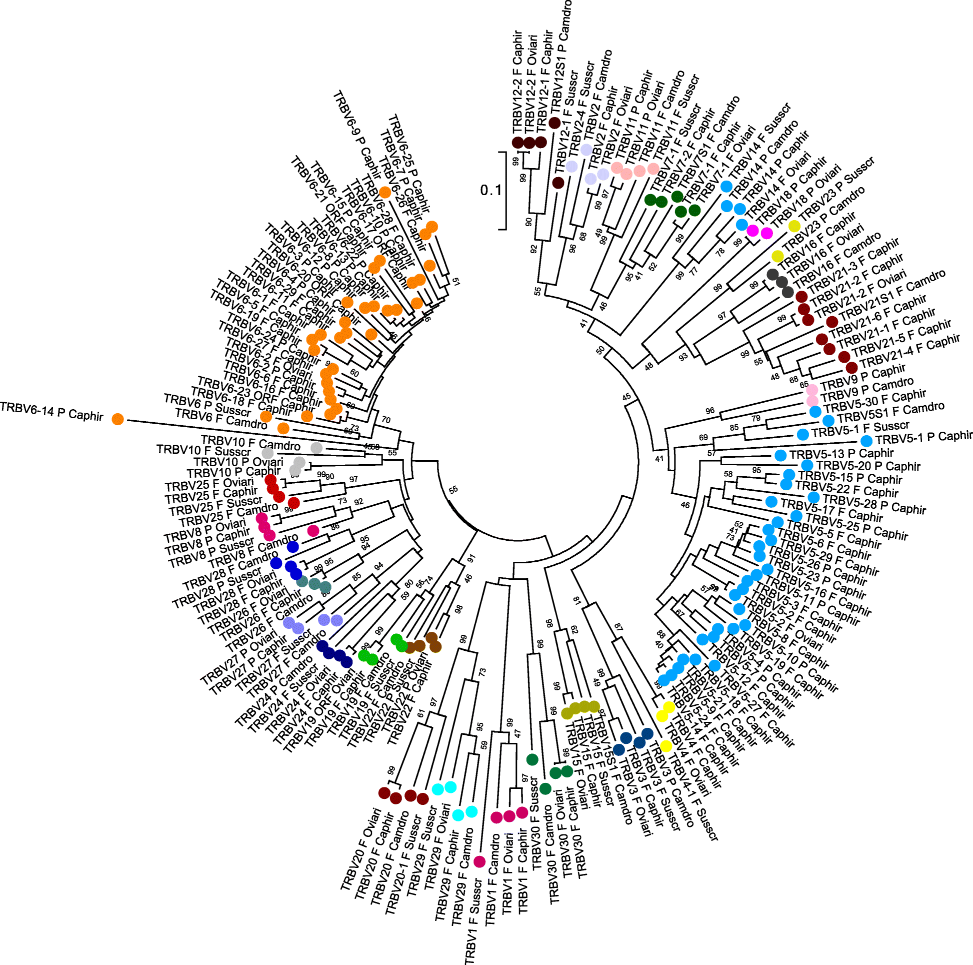 Fig. 2