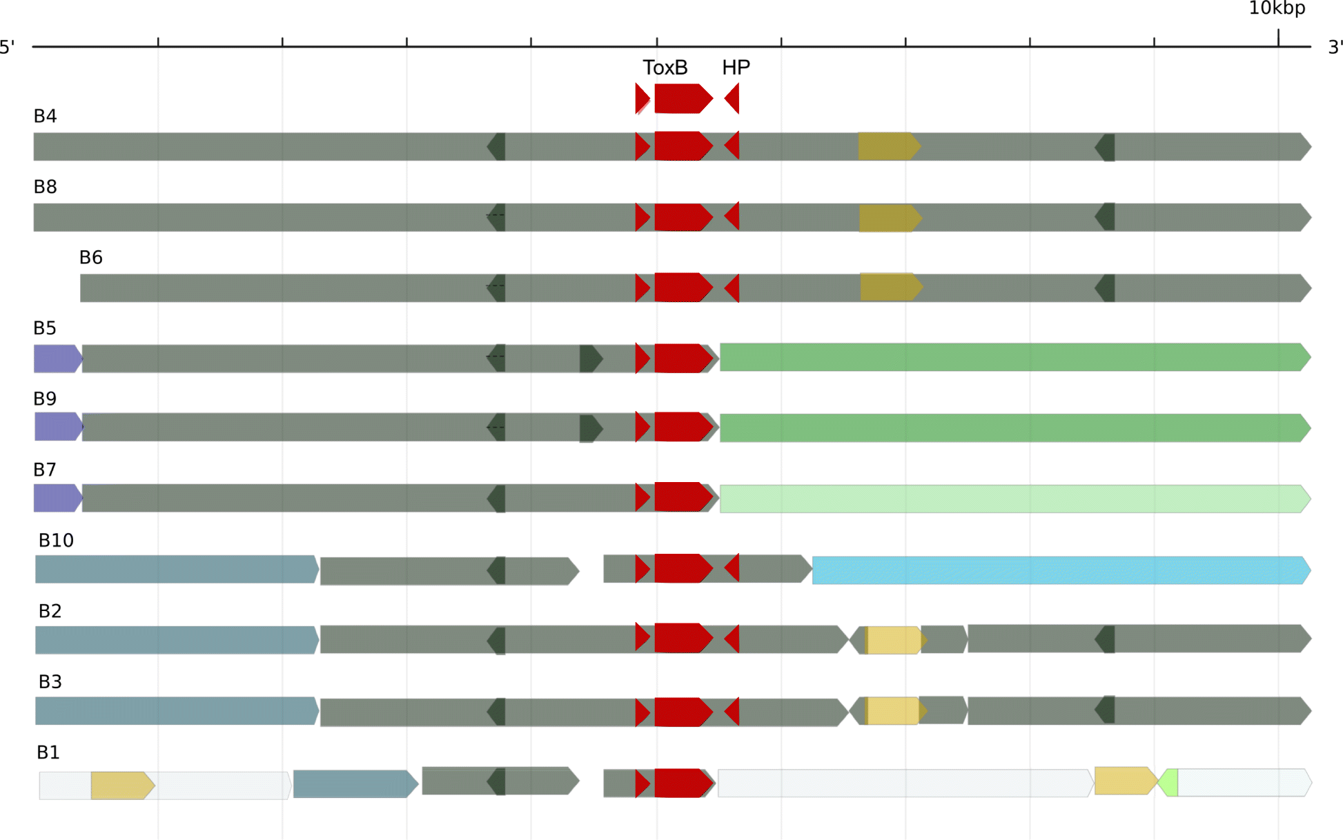 Fig. 6