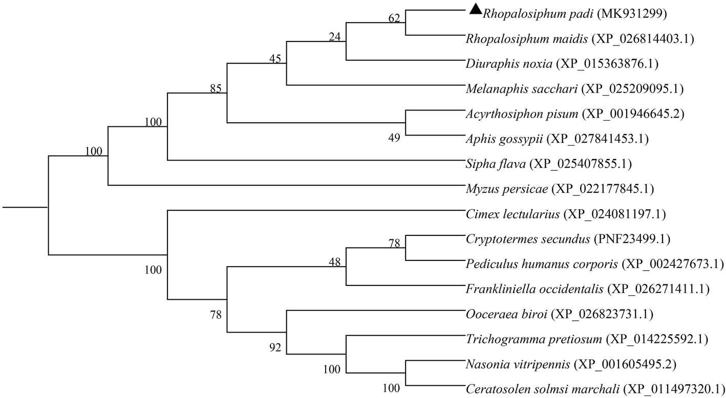 Fig. 6