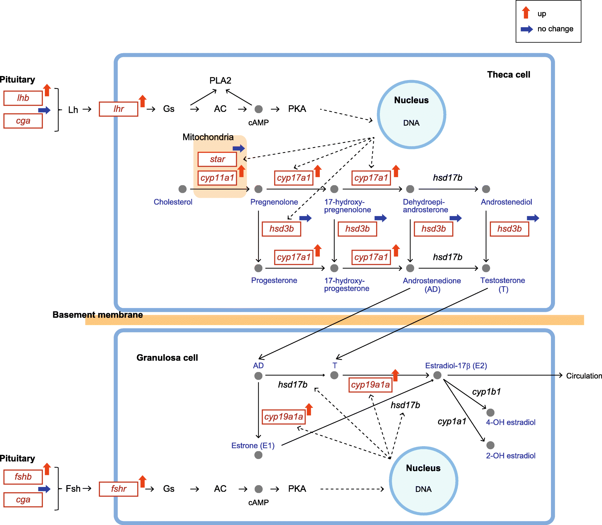 Fig. 8