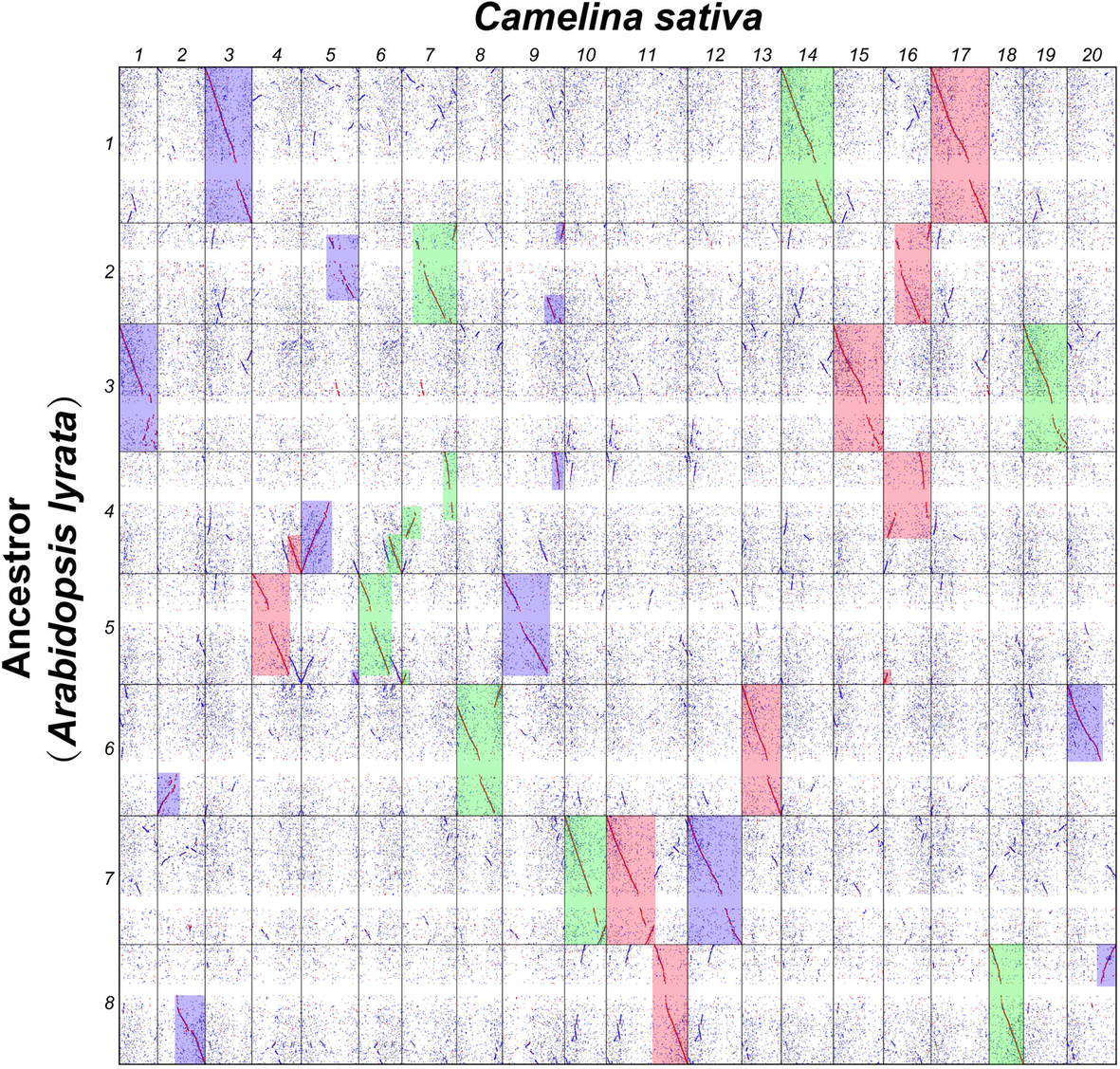 Fig. 2