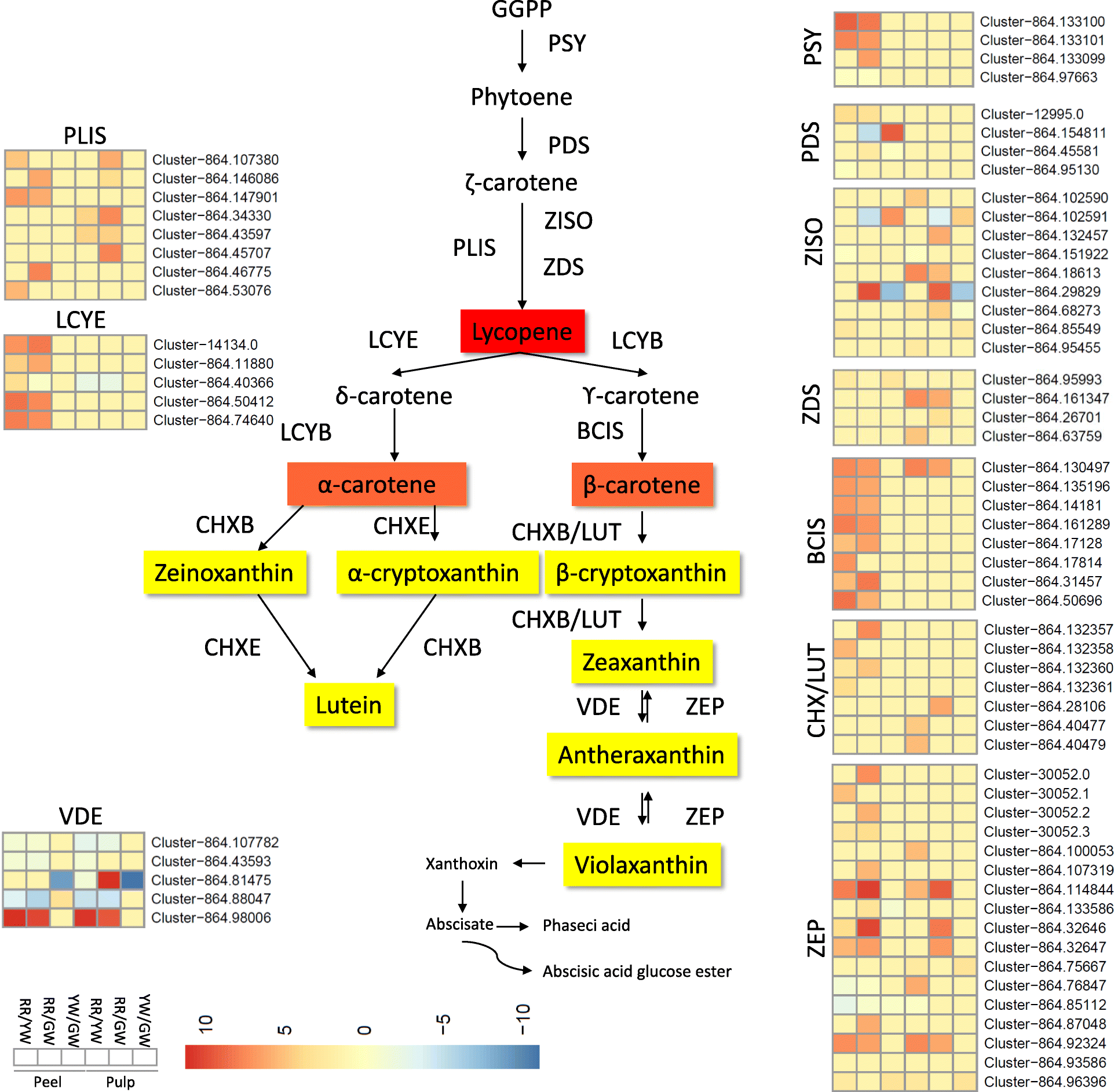 Fig. 4