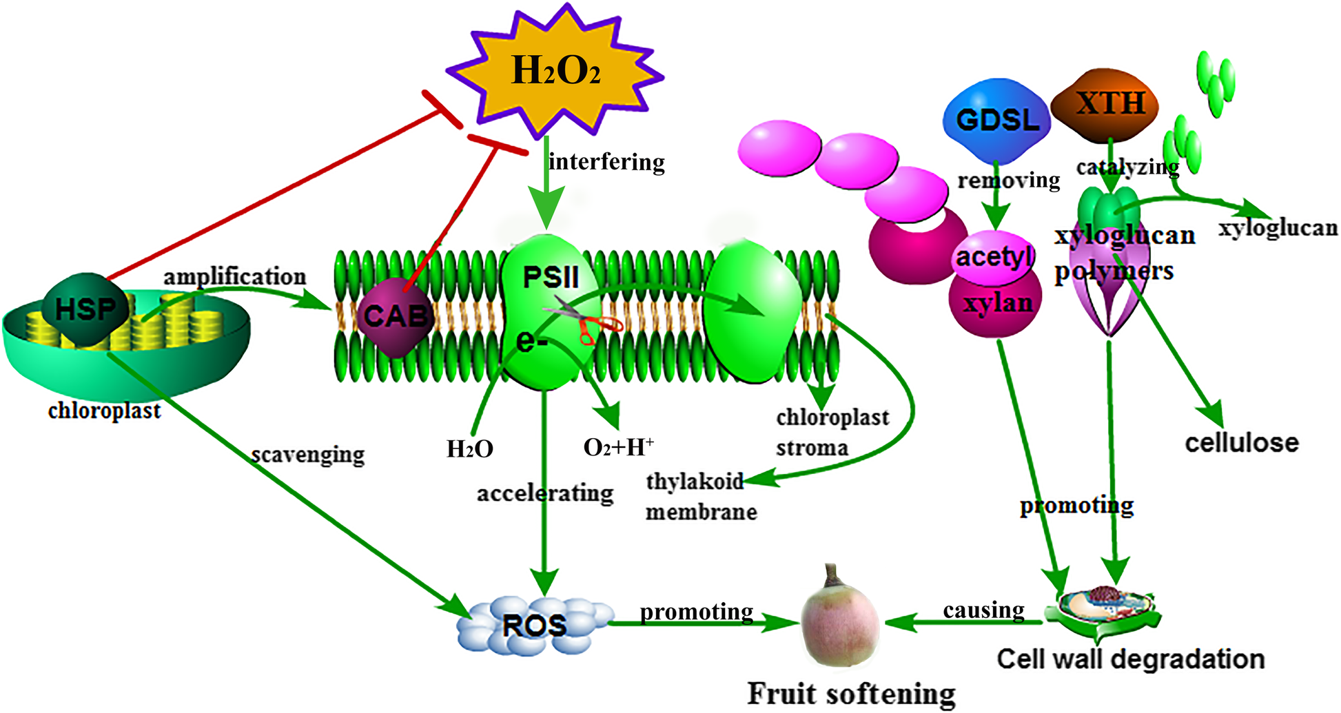 Fig. 10