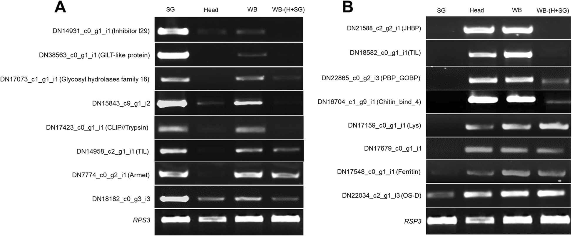 Fig. 9