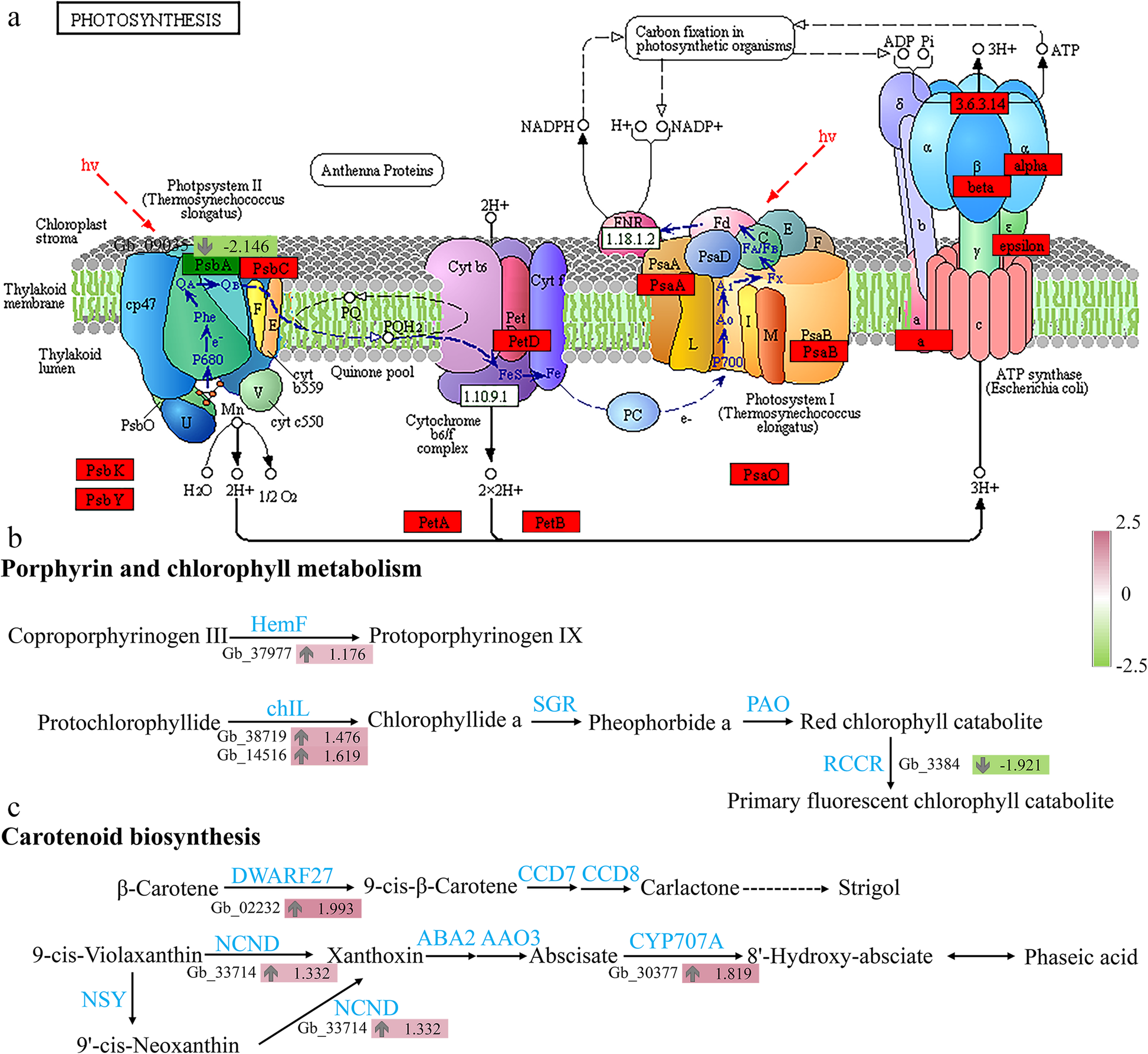 Fig. 4